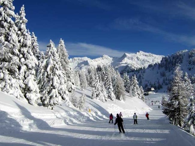 CREATOR: gd-jpeg v1.0 (using IJG JPEG v62), default quality CREATOR: gd-jpeg v1.0 (using IJG JPEG v62), default quality