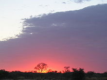 botswana-african-safari-lion-charging.jpg