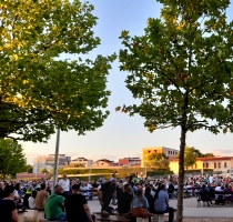 2025 - Medjugorje
